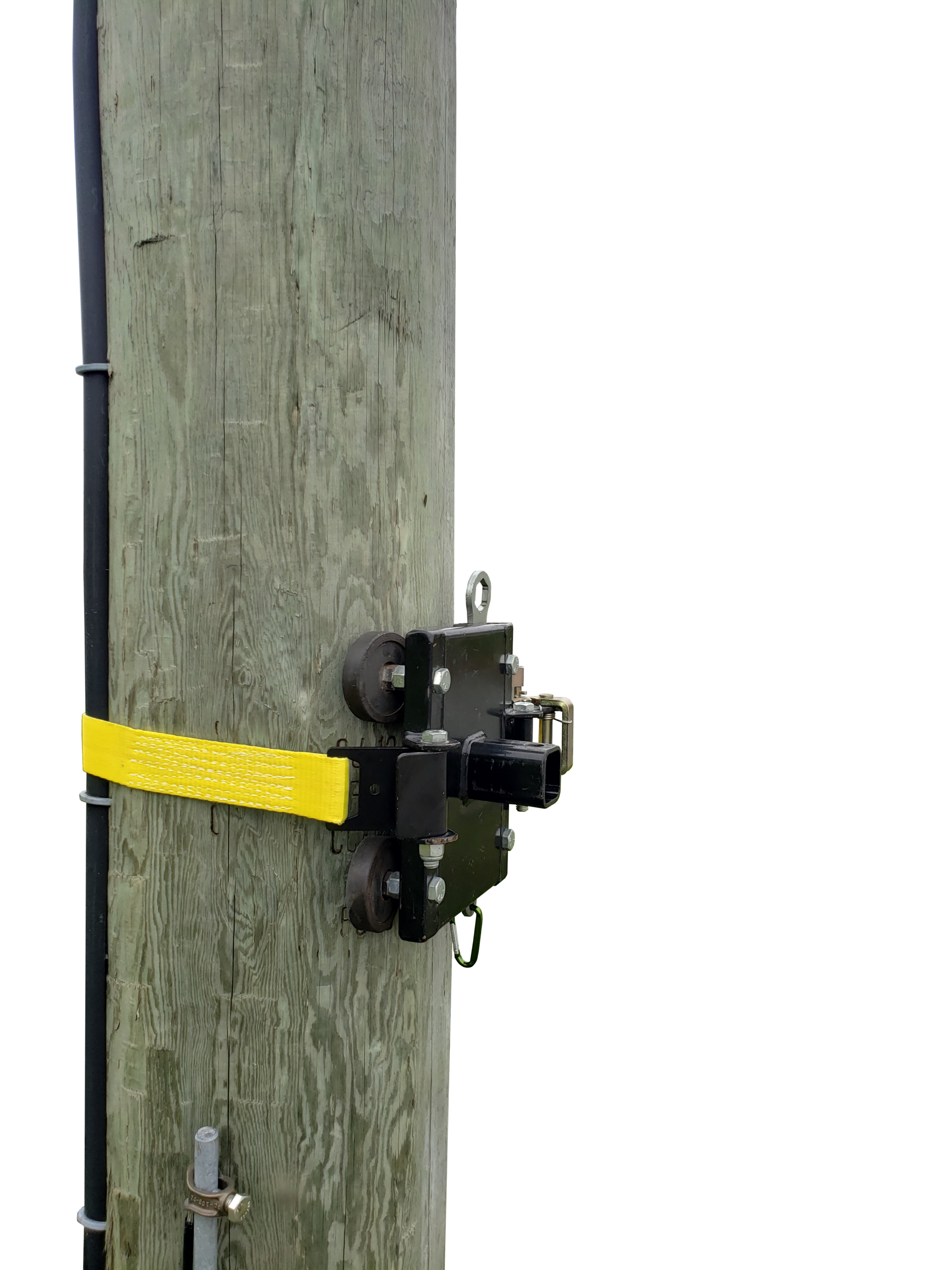 tree mount winch anchoring system with rubber pads