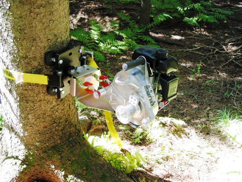 tree mount winch anchoring system with rubber pads