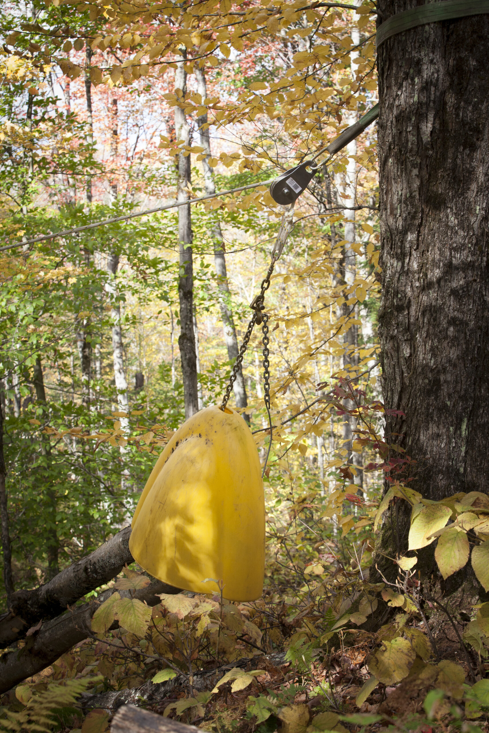skidding cone for logs