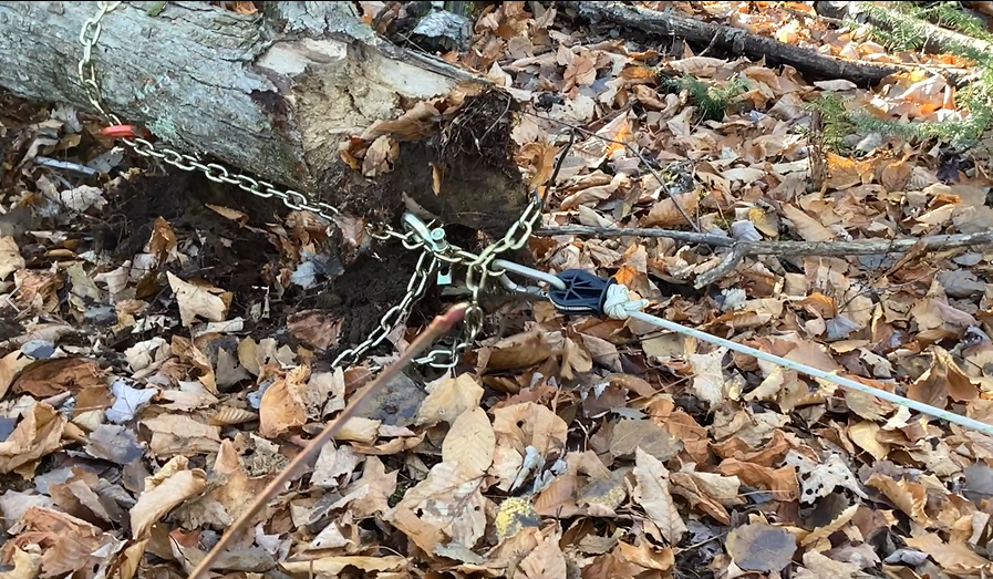 ropewizer the easy splice